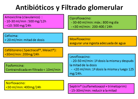 Filtrado glomerular-1