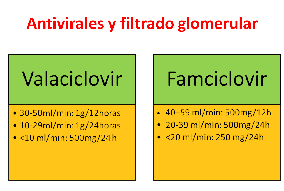 Filtrado glomerular-2