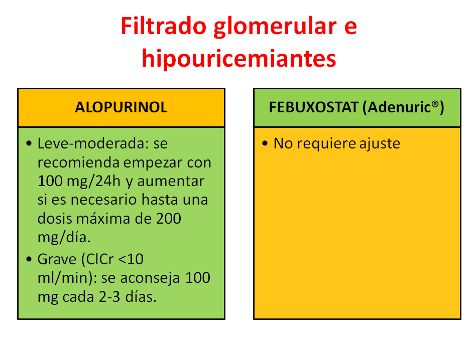 FILTRADO GLOMERULAR-4