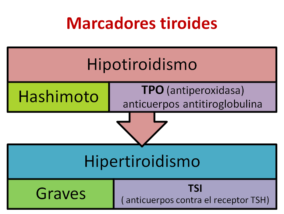marcadores tiroides
